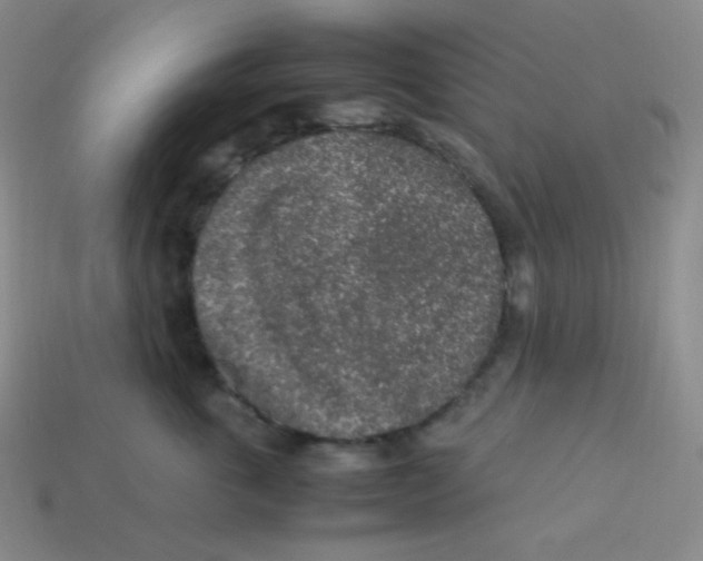 X0000113310763200910131107