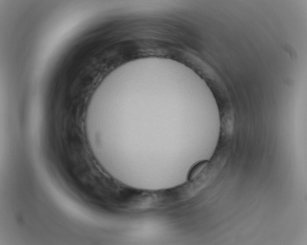 X0000113310764200910131107