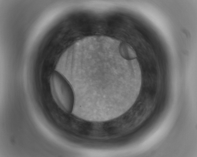 X0000113310766200910131107