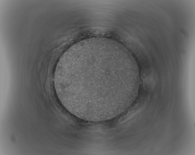 X0000113310769200910131107