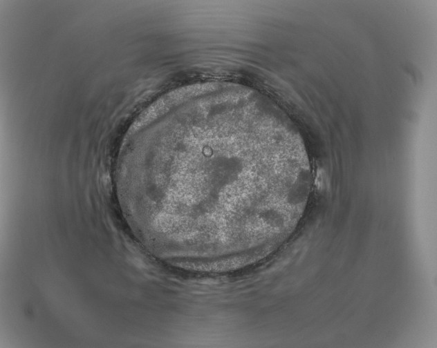 X0000113310771200910131107