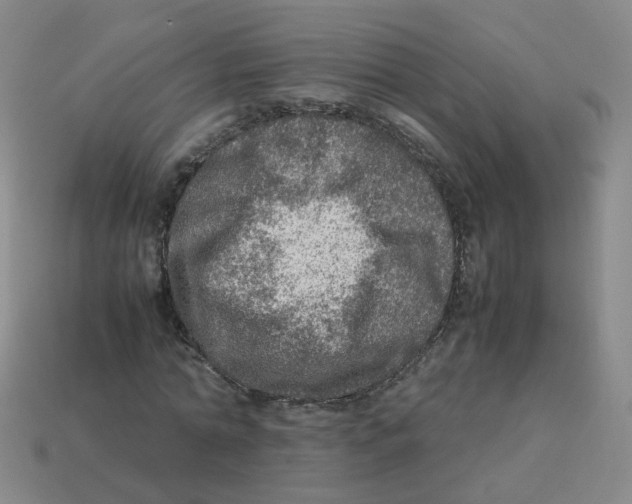 X0000113310774200910131107