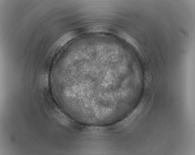 X0000113310777200910131107