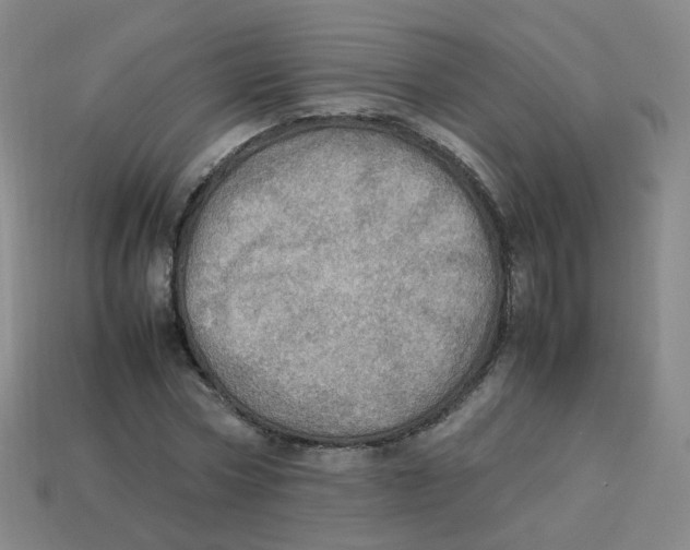 X0000113310778200910131107