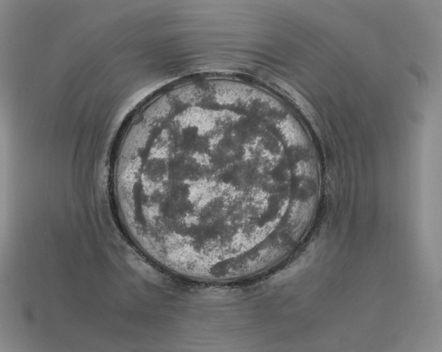 X0000113310779200910131106