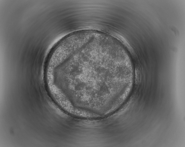 X0000113310780200910131106