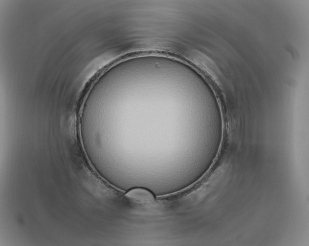 X0000113310781200910131106