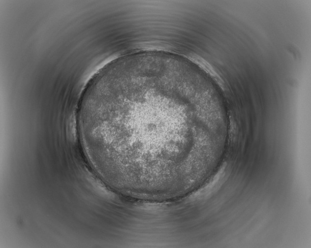 X0000113310782200910131106