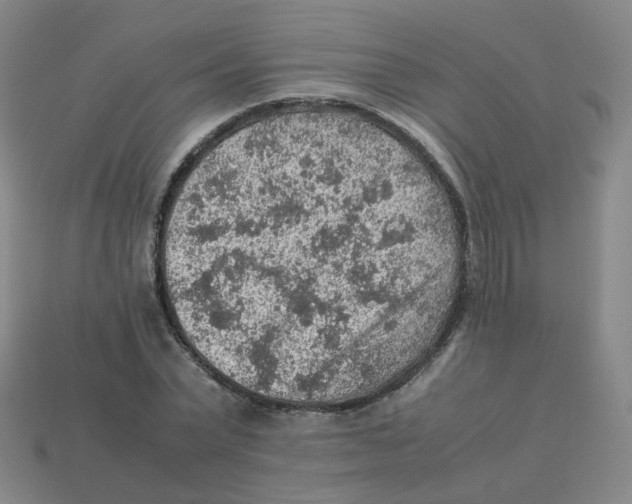 X0000113310783200910131106