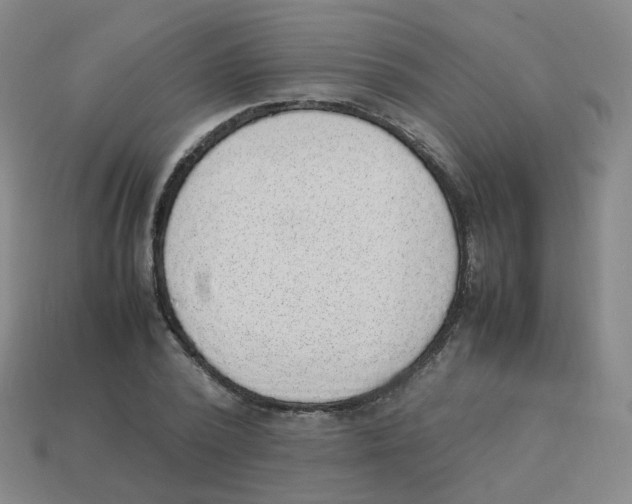 X0000113310784200910131106
