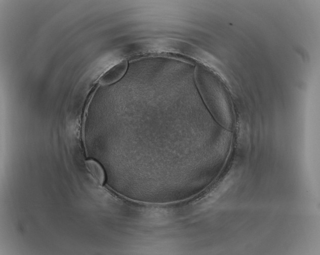 X0000113310785200910131106