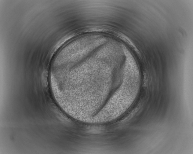 X0000113310786200910131106