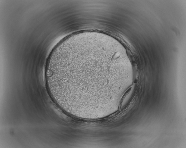 X0000113310788200910131106