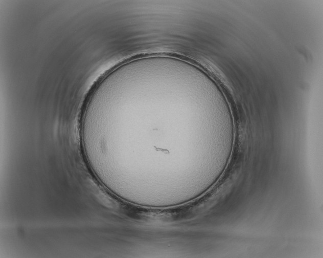 X0000113310789200910131106