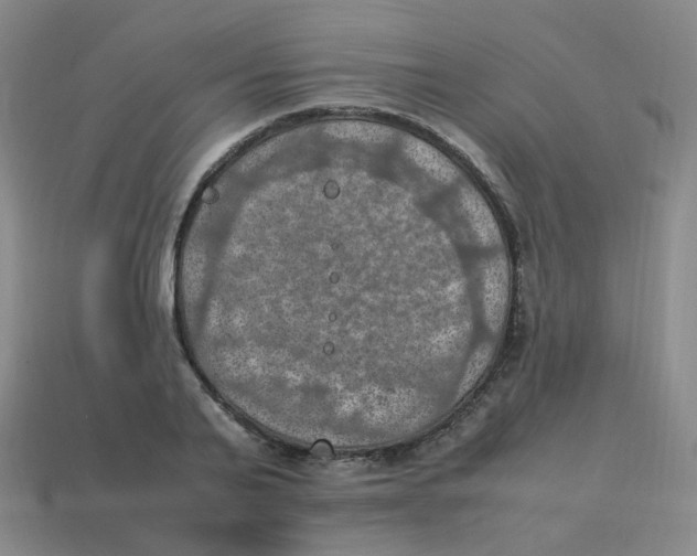 X0000113310791200910131106