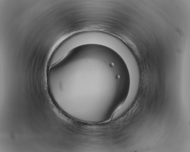 X0000113310792200910131106