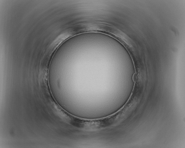 X0000113310793200910131106