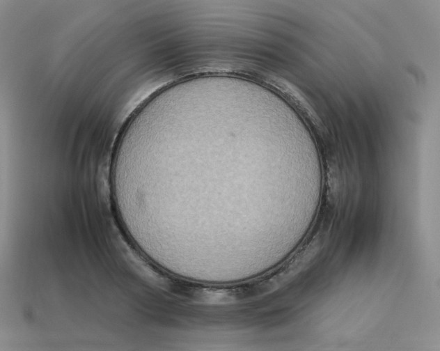 X0000113310794200910131106