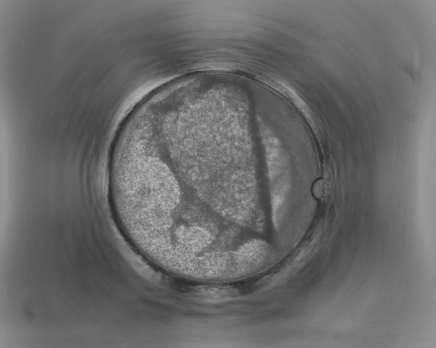 X0000113310795200910131106