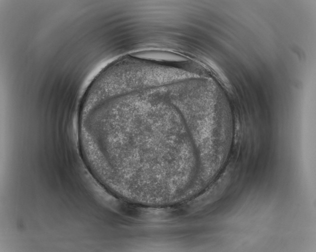 X0000113310796200910131106