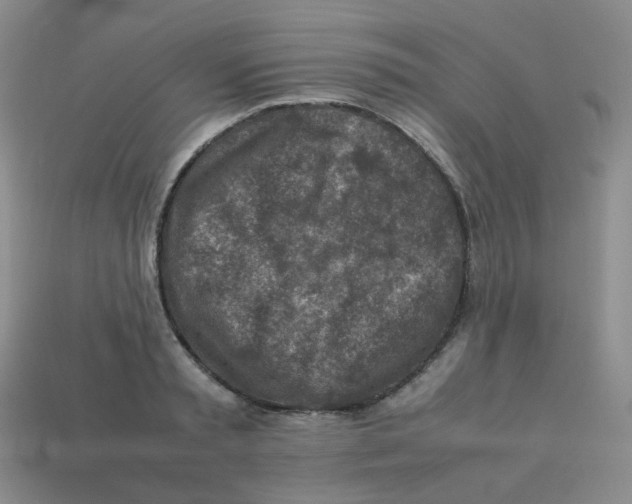 X0000113310797200910131106