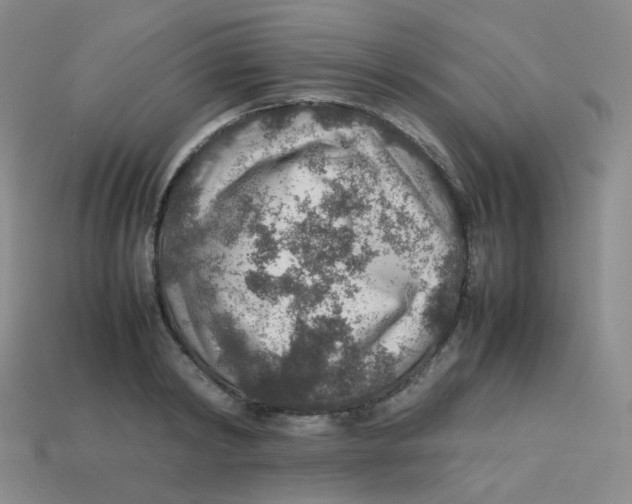 X0000113310798200910131106