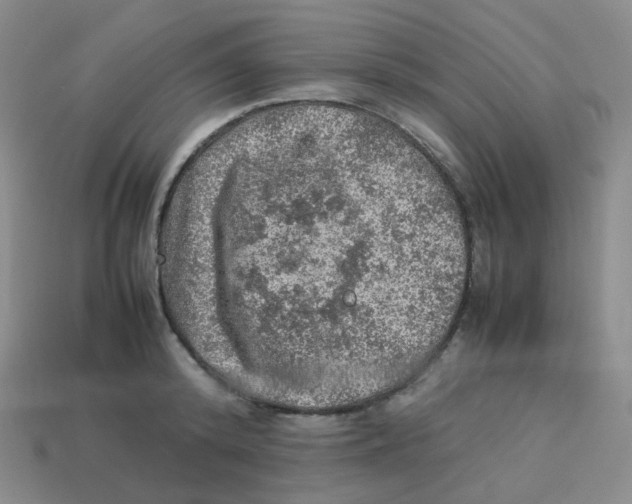 X0000113310800200910131106