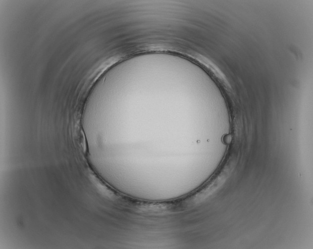 X0000113310801200910131106