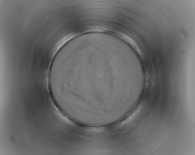 X0000113310802200910131106