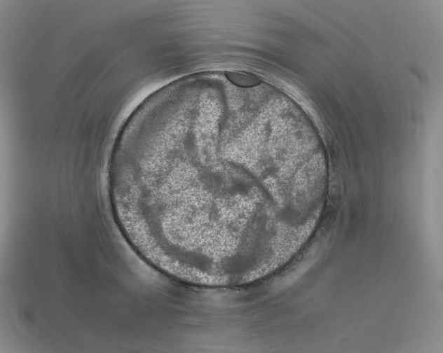 X0000113310803200910131106