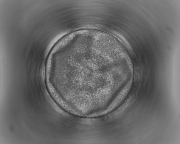 X0000113310804200910131106