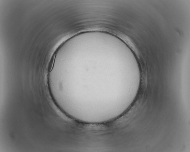 X0000113310805200910131106