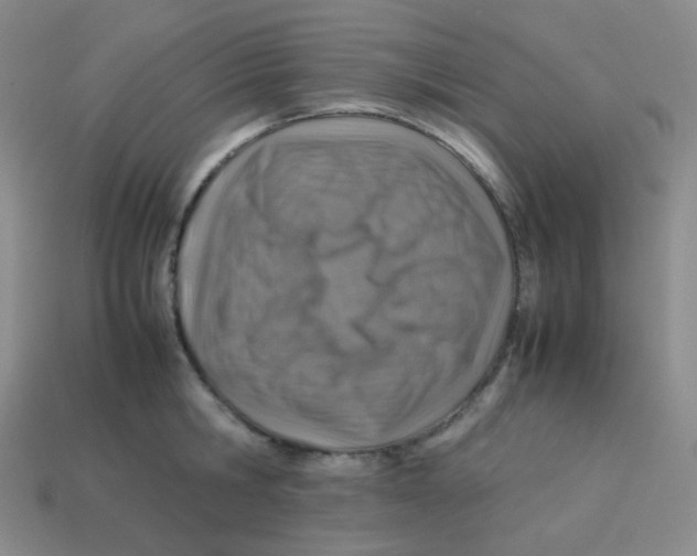 X0000113310806200910131106