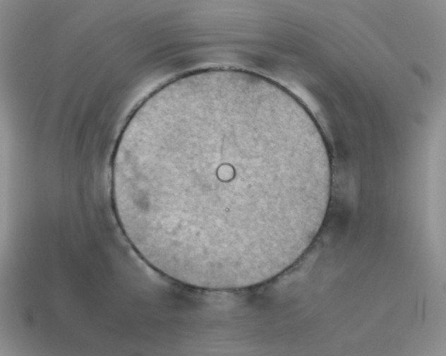 X0000113310807200910131106