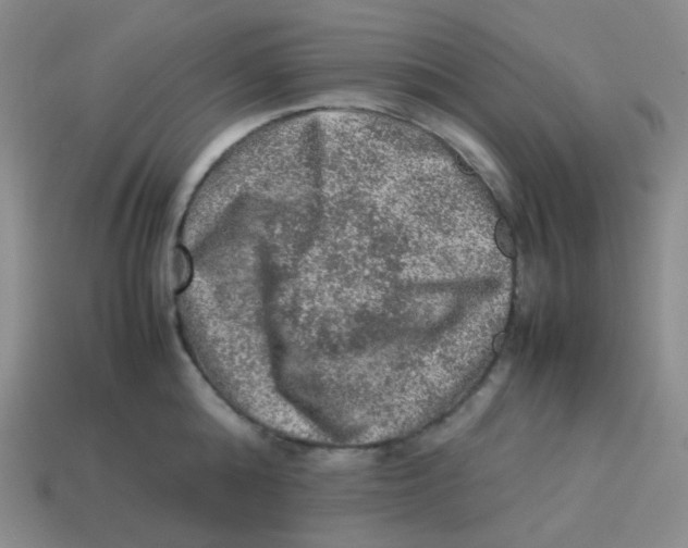 X0000113310808200910131106