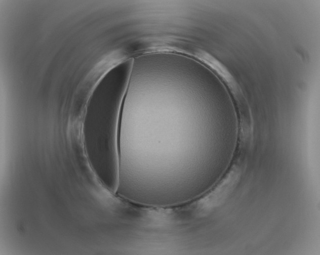 X0000113310809200910131106