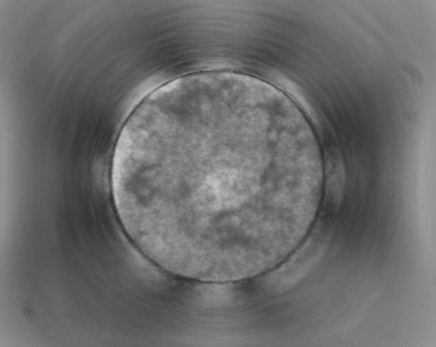 X0000113310810200910131106