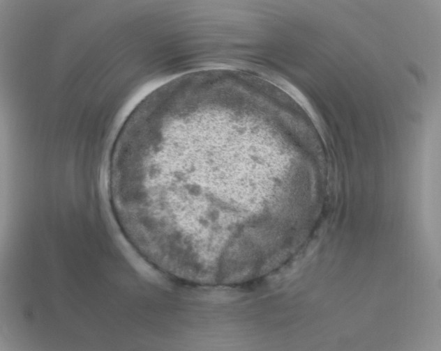 X0000113310811200910131106