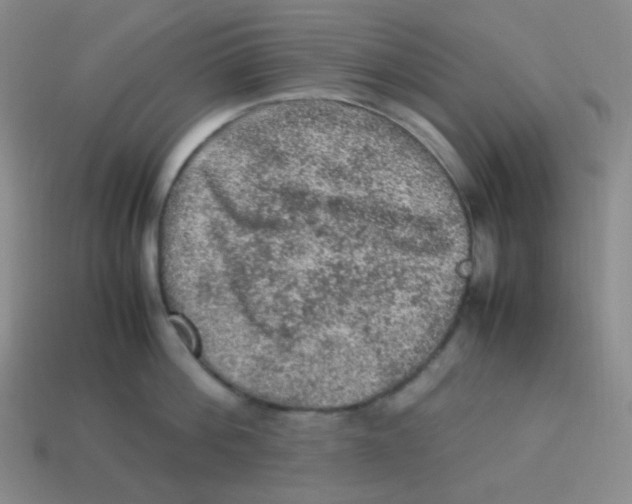 X0000113310812200910131106