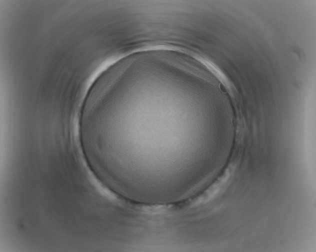 X0000113310813200910131106