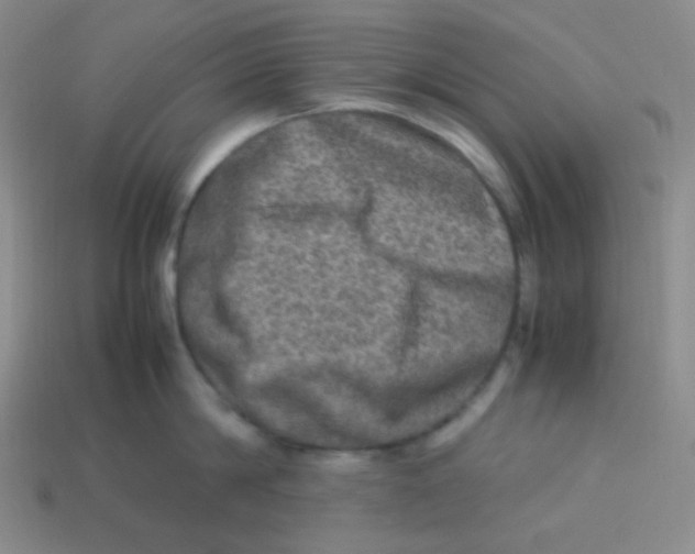 X0000113310814200910131106