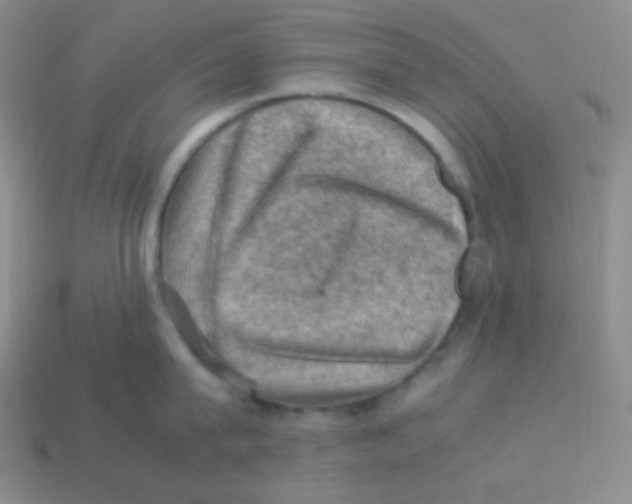 X0000113310815200910131106