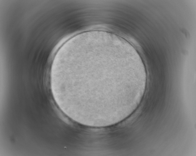 X0000113310816200910131106