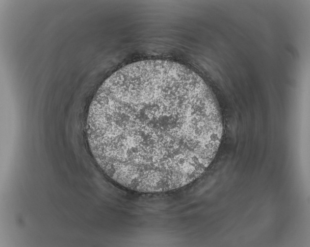 X0000113310817200910131105