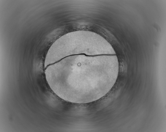 X0000113310820200910131105