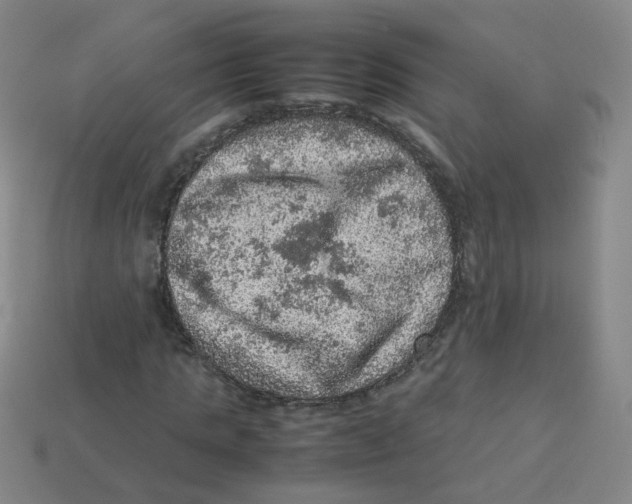 X0000113310821200910131105