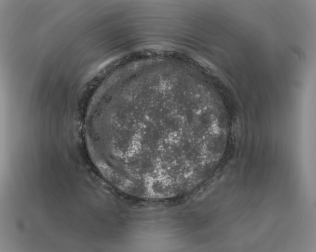 X0000113310822200910131105