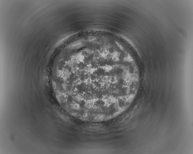 X0000113310823200910131105