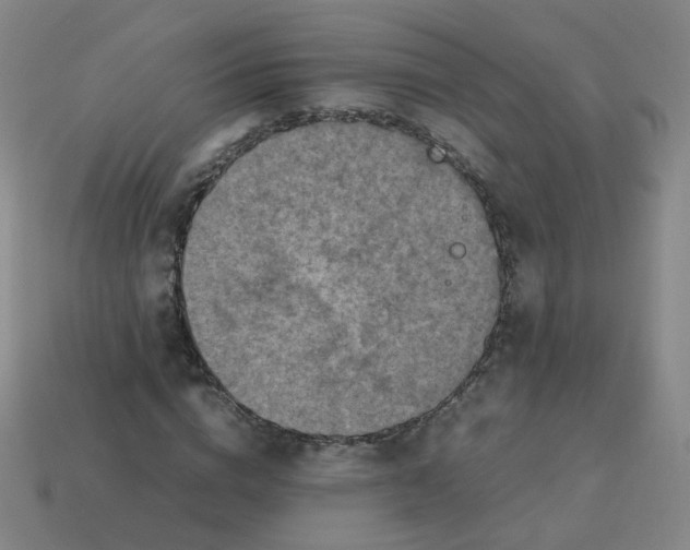 X0000113310824200910131105