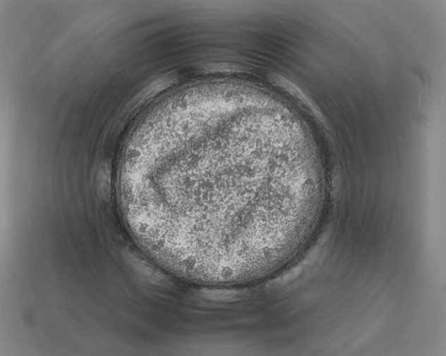 X0000113310825200910131106